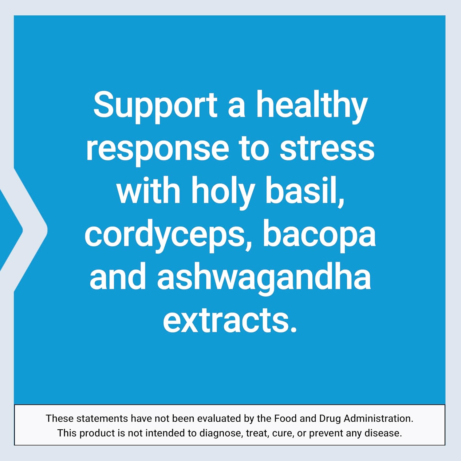 Adrenal Energy Formula with Holy Basil, Cordyceps, Bacopa, and Ashwagandha - 120 Capsules, Stress Relief, Gluten-Free, Non-GMO, Vegetarian