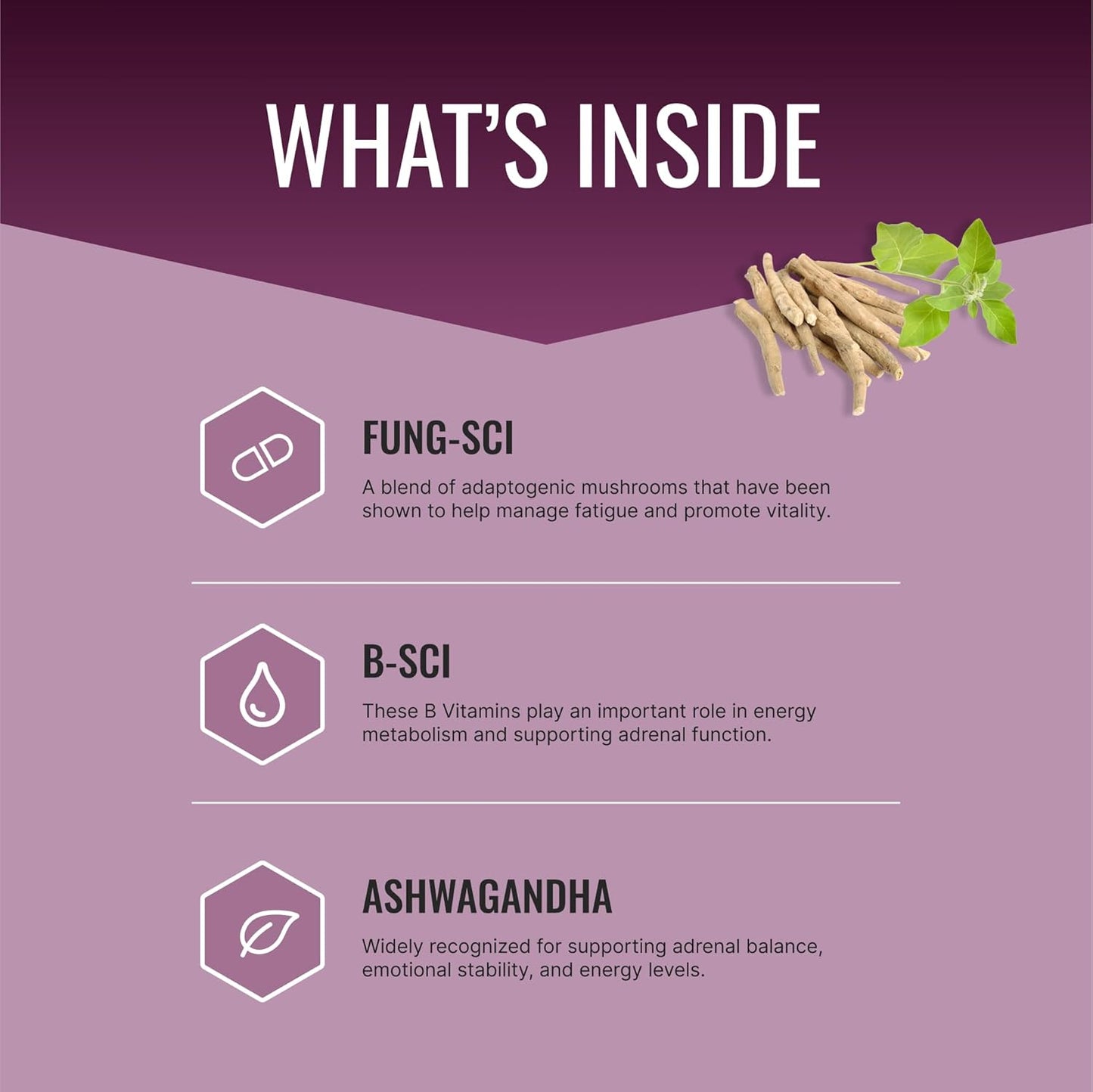 Adrenal Gland Support Supplement - 180 Capsules - Boost Adrenal Health - Approved Science Adrenasyl