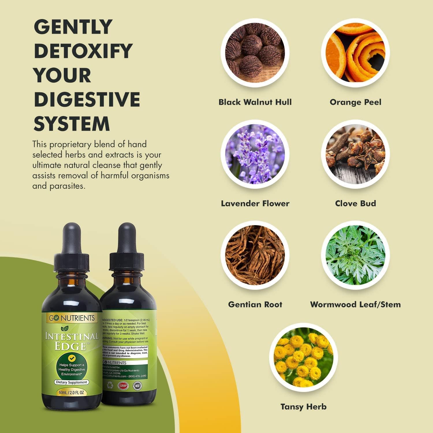 Adrenal & Intestinal Edge Liquid Drops: Digestive & Energy Supplement with 9 Herbs, Cortisol Manager - Non-GMO & Gluten Free