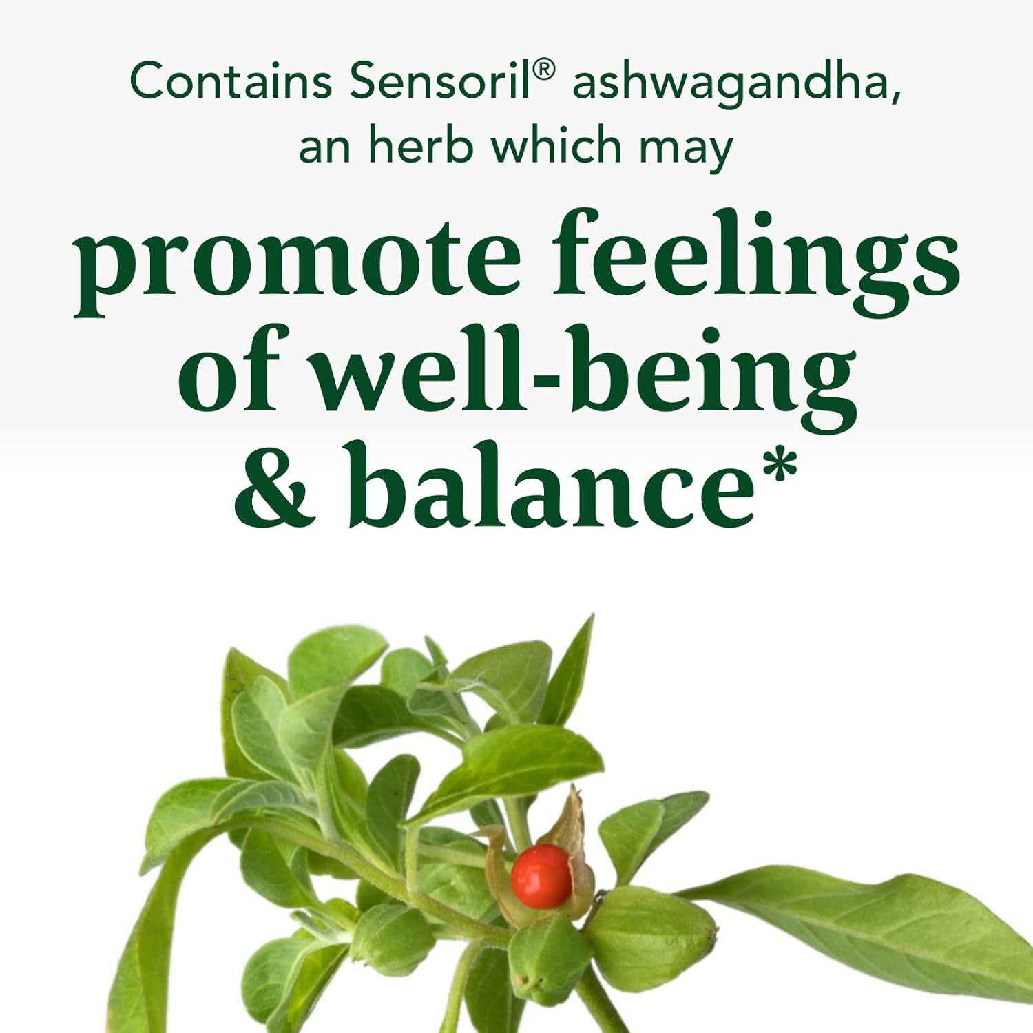 Adrenal Strength Supplement with Sensoril Ashwagandha, Vitamin C, Magnesium, Rhodiola, Reishi Mushroom - 90 Tablets, Supports Stress Response