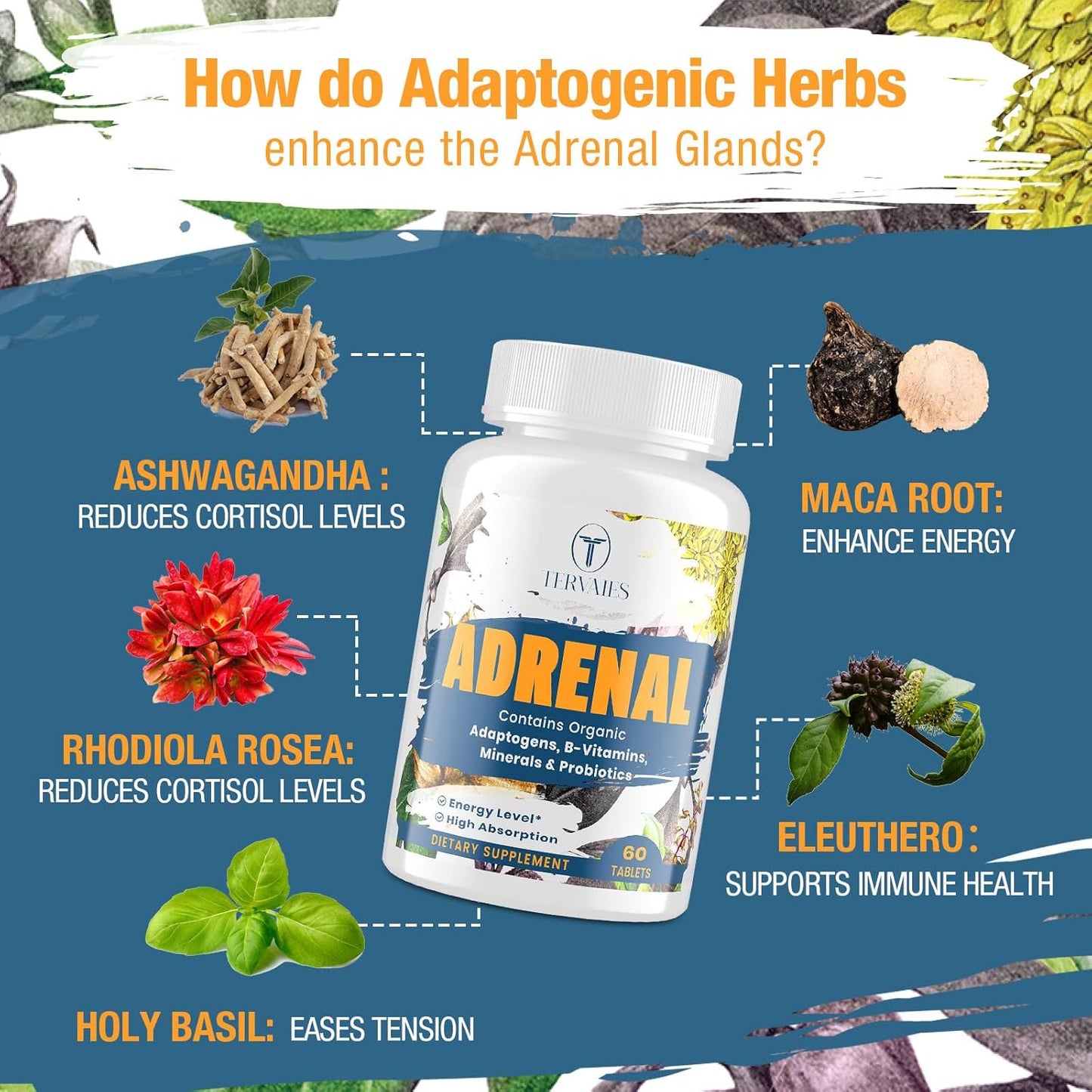 Adrenal Support Supplement with Adaptogens for Mood and Energy - Rhodiola Rosea, Ashwagandha, Holy Basil, Eleuthero - Non-GMO Vegan Tablets for Men and Women, 60 Count