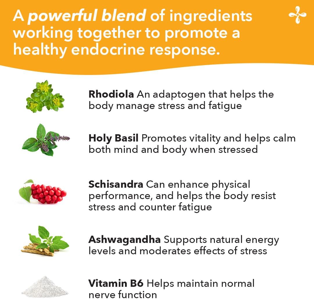Adrenal-T Supplement - Supports Adrenal Fatigue - Reduces Cortisol - Prevents Burnout - Manages Stress - Boosts Energy - Ashwagandha Adaptogens - 60 Capsules