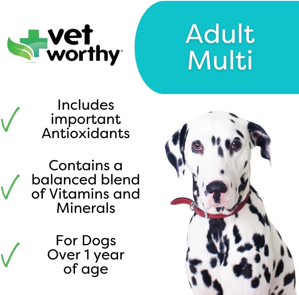 Adult Multi Vitamins for Dogs - Supports Optimal Health & Wellness - Dog Supplement with Iron, Magnesium, Zinc, Vitamin A & B - Liver Flavor, 60 Tablets
