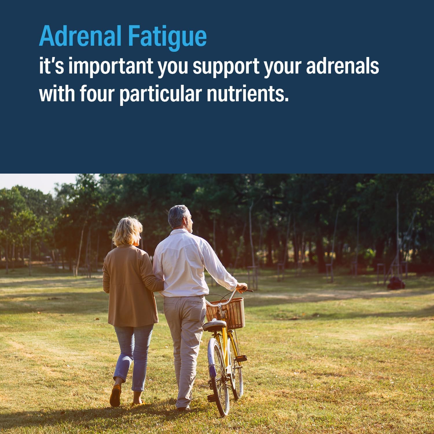 Advanced Bionutritionals Adrenal Factor - Supports Adrenal Gland Function, Cortisol Levels, Energy - Non GMO, Gluten Free, Dairy Free, Vegan - 120 Tablets