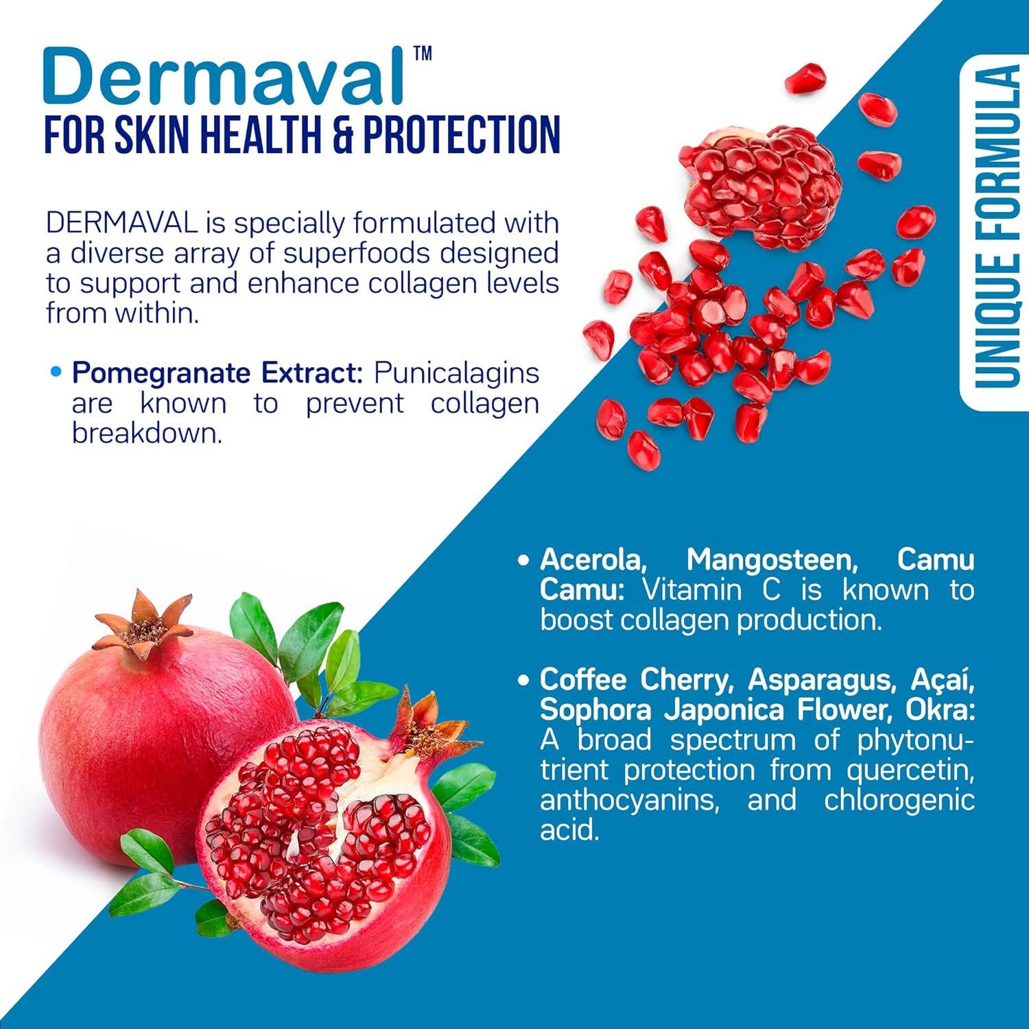 Advanced Collagen & Skin Support with Antioxidants, Digestive Enzymes, and Probiotics - Clinical Studies - 30 Day Supply - For Women & Men