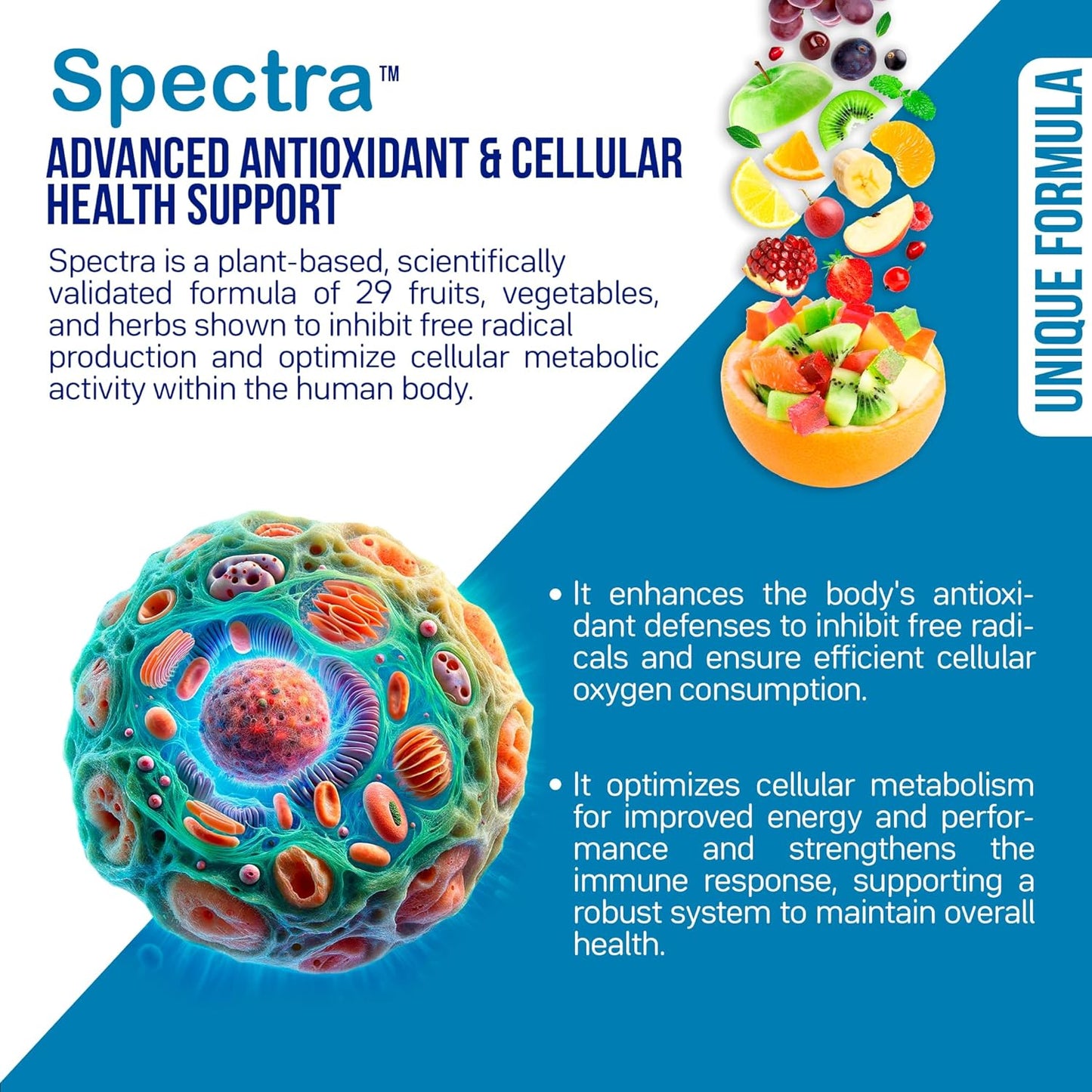 Advanced Collagen & Skin Support with Antioxidants, Digestive Enzymes, and Probiotics - Clinical Studies - 30 Day Supply - For Women & Men