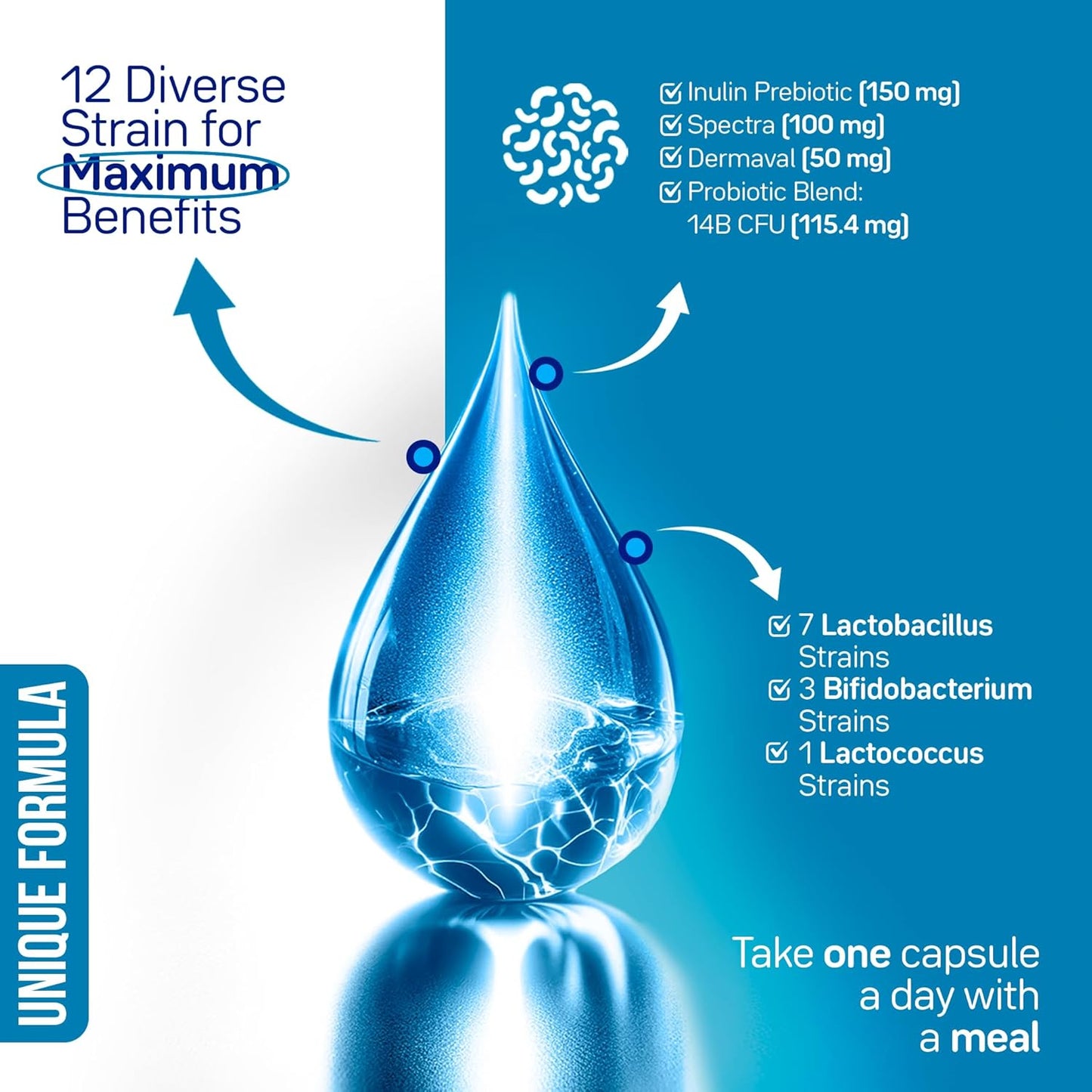 Advanced Collagen & Skin Support with Antioxidants, Digestive Enzymes, and Probiotics - Clinical Studies - 30 Day Supply - For Women & Men