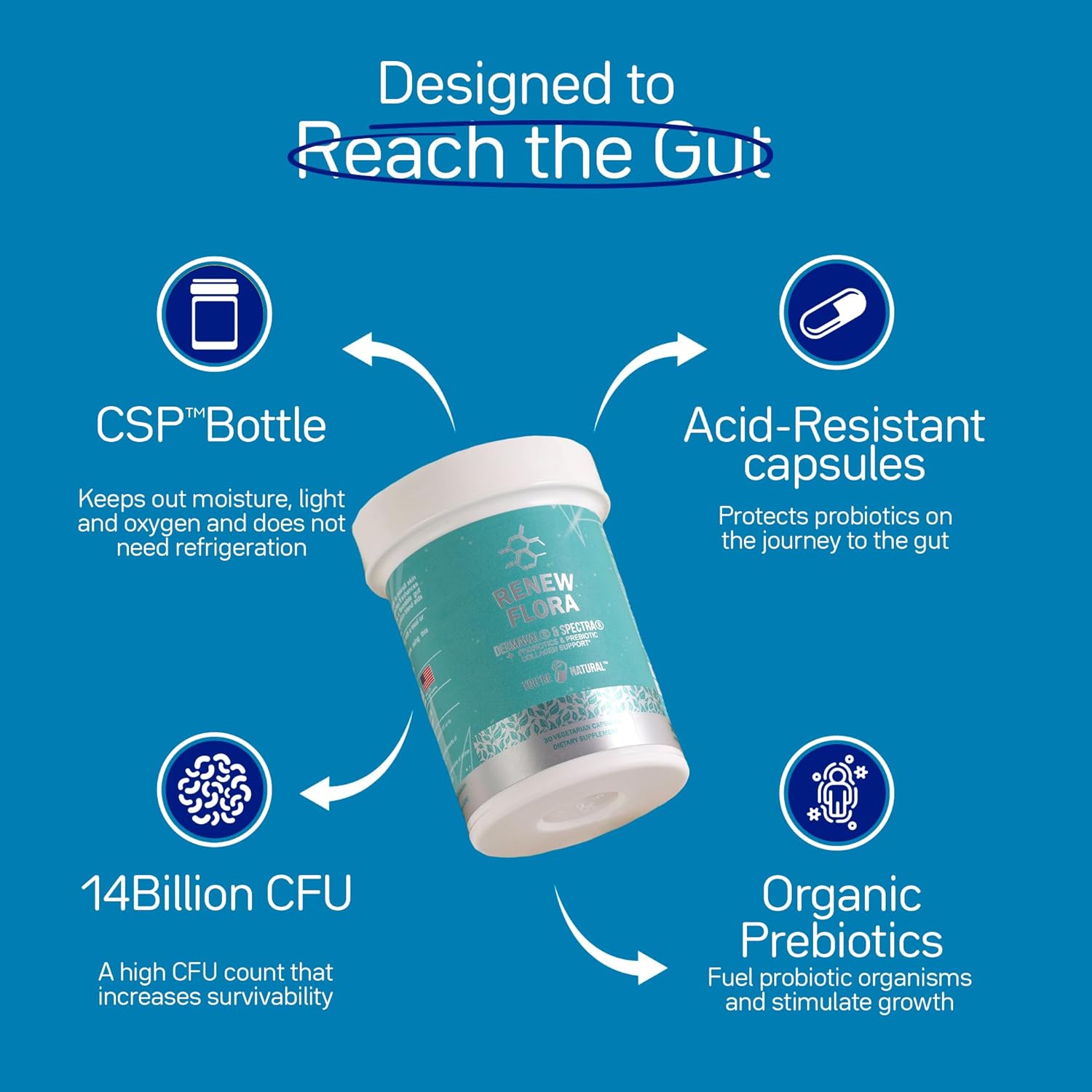 Advanced Collagen & Skin Support with Antioxidants, Digestive Enzymes, and Probiotics - Clinical Studies - 30 Day Supply - For Women & Men