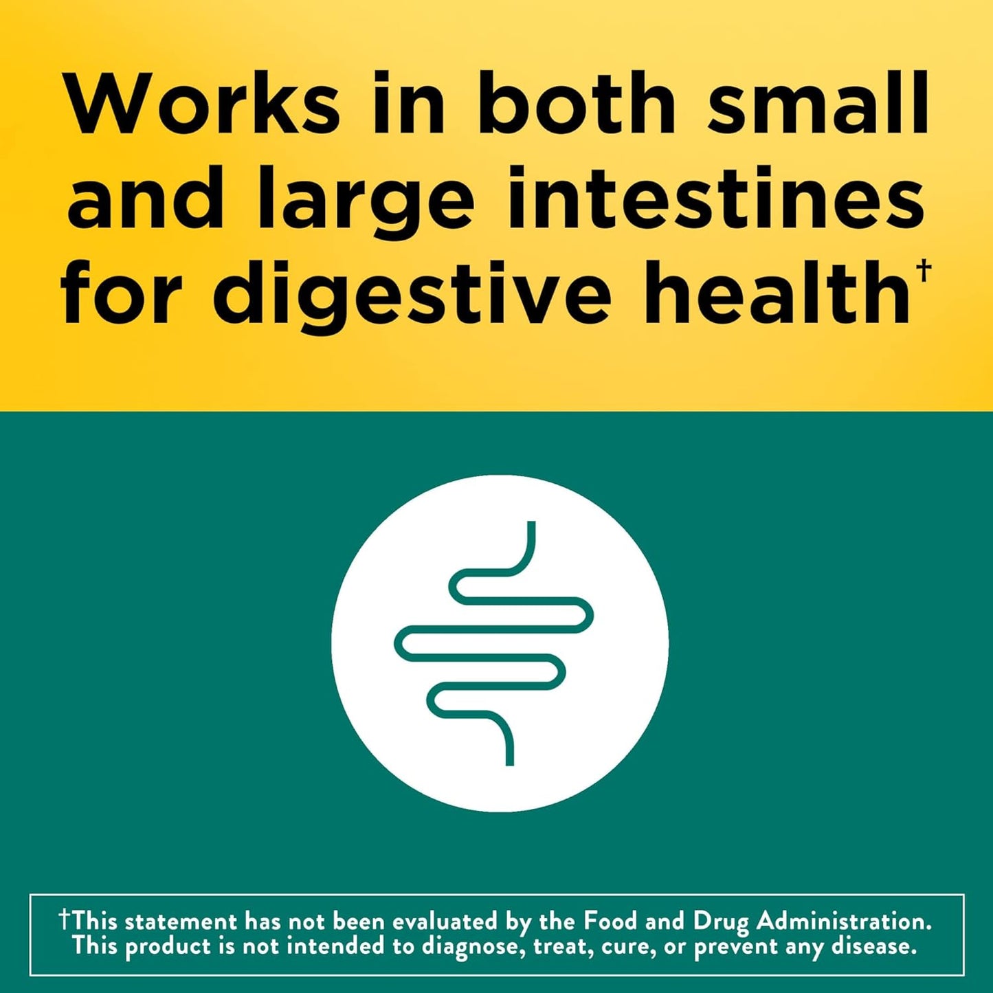 Advanced Dual Action Digestive Probiotics for Women and Men - 30 Capsules - 30 Day Supply