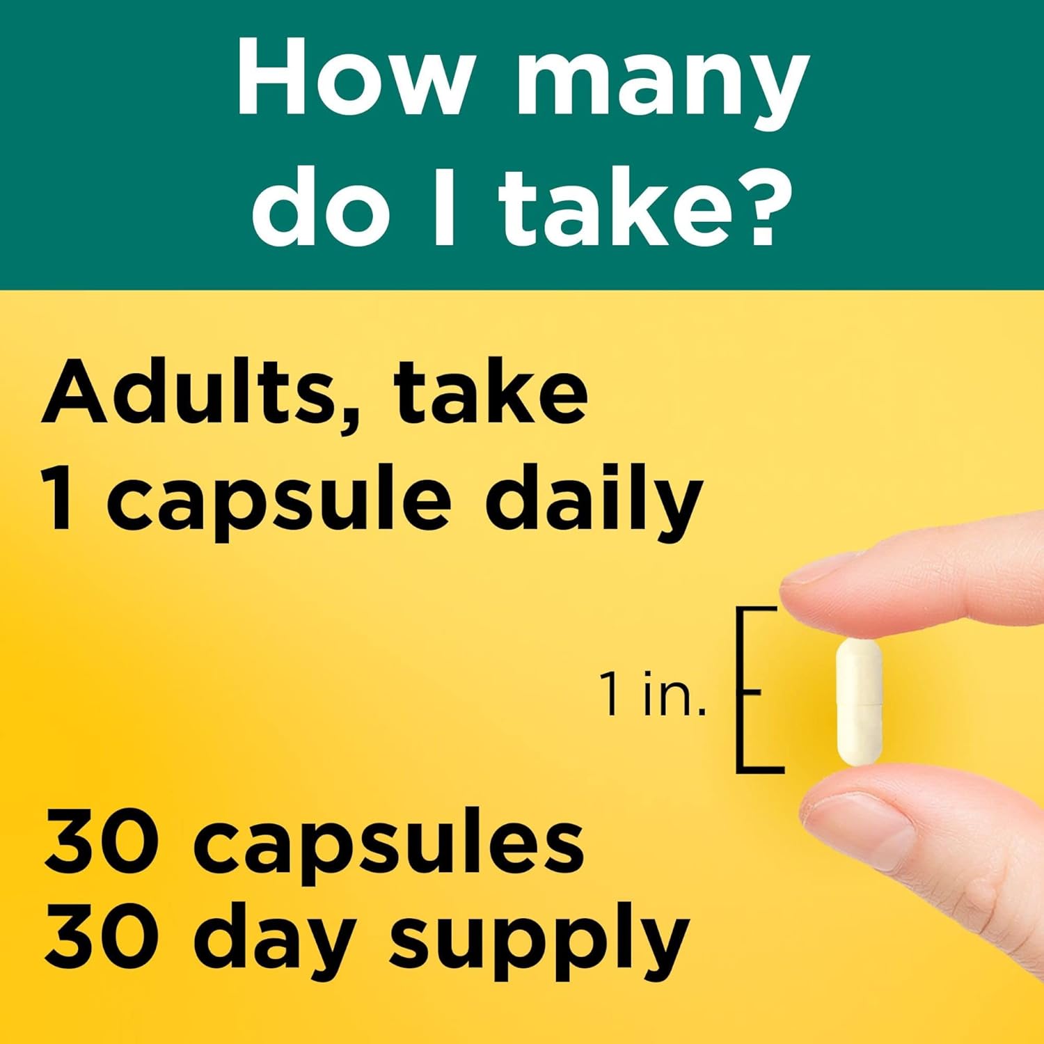 Advanced Dual Action Digestive Probiotics for Women and Men - 30 Capsules - 30 Day Supply