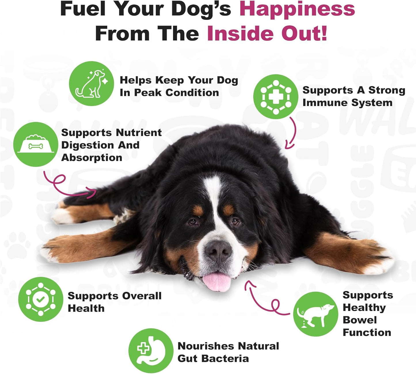 Advanced Duck Flavored Probiotics for Dogs - 225 Chews, Supports Digestive & Immune Health