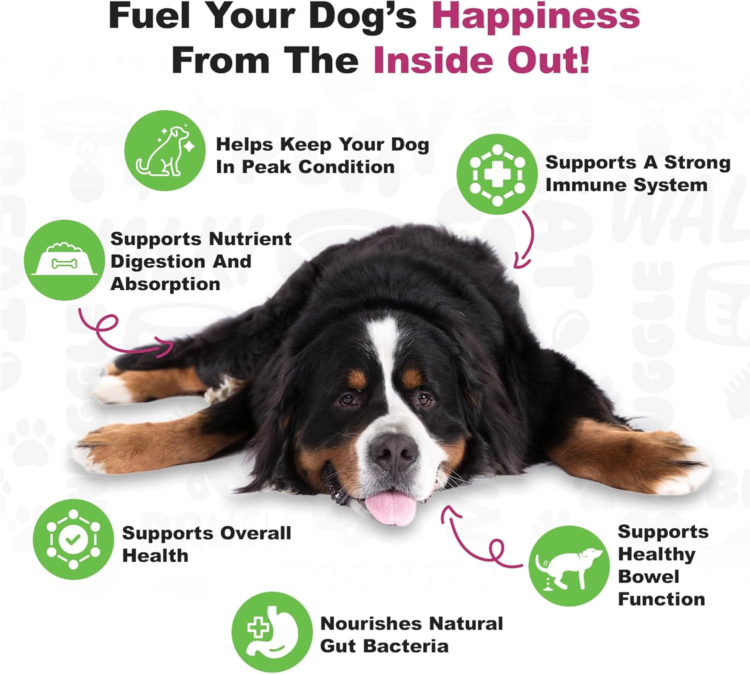Advanced Duck Flavored Probiotics for Dogs - 225 Chews, Supports Digestive & Immune Health