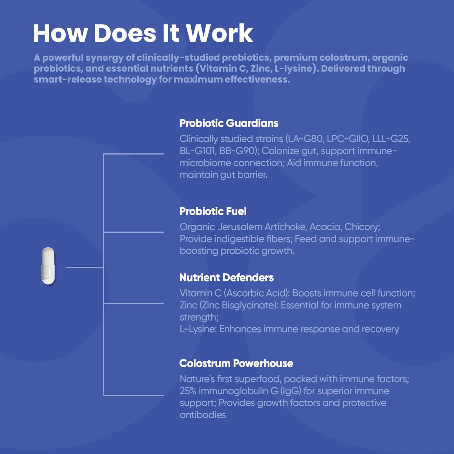 Advanced Gut & Immune Support Supplement with Probiotics, Prebiotic Fiber, Colostrum, Vitamin C, Zinc, L-Lysine | Vegan Capsules | 60 Count