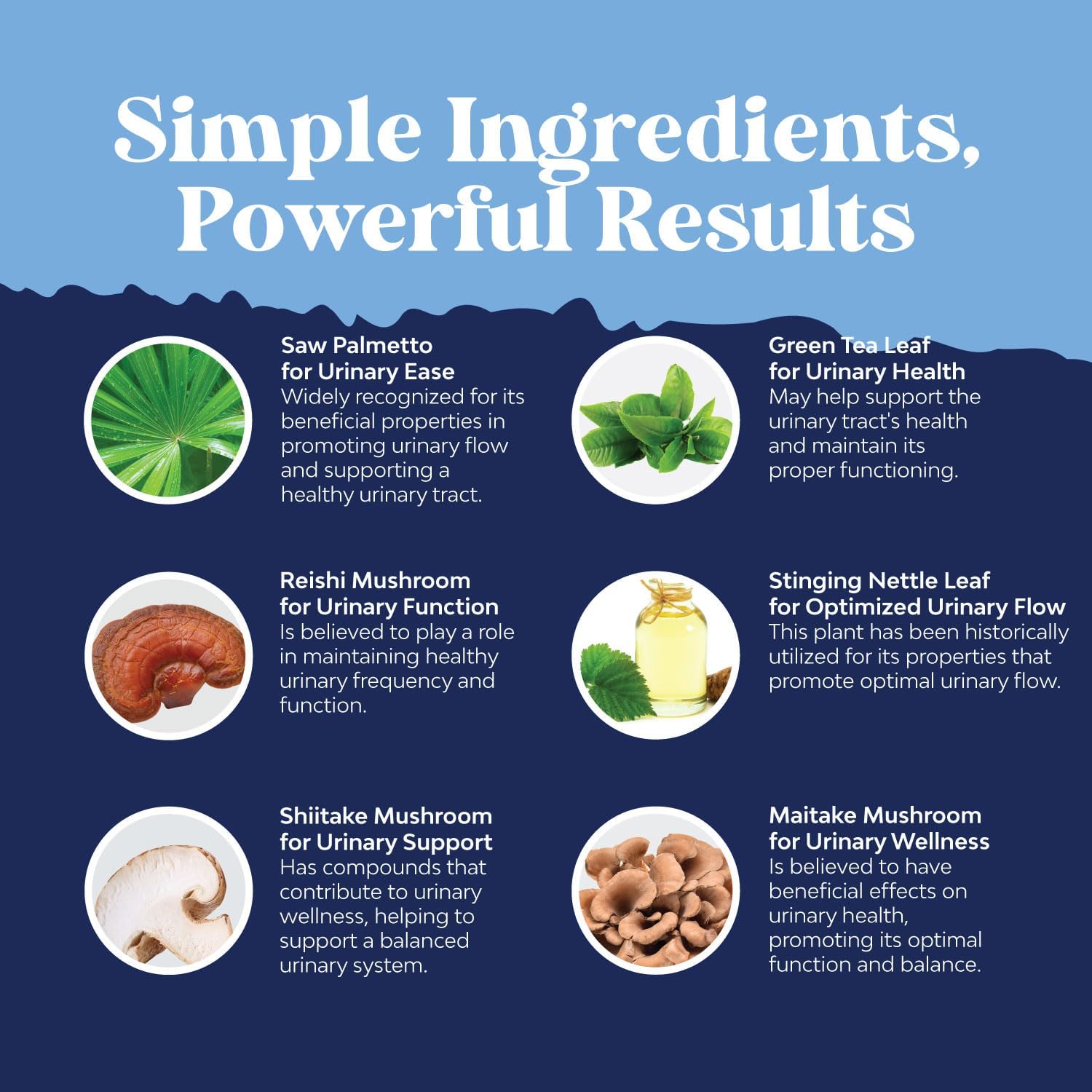 Advanced Herbal Prostate Health Supplements for Men - Supports Frequent Urination - 60 Capsules with Beta Sitosterol, Selenium, Pygeum, Saw Palmetto