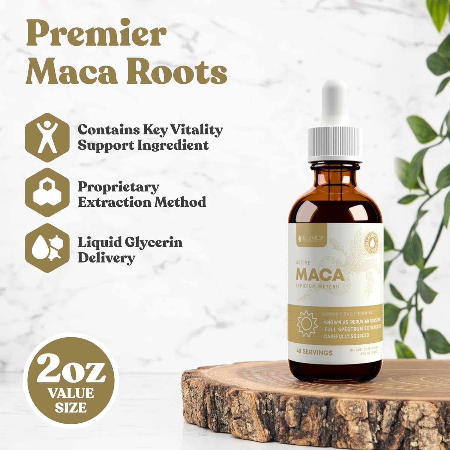 Advanced Liquid Maca Root Extract with Peruvian Ginseng for Enhanced Energy & Vitality - High Absorption Formula by Rejuvica Health