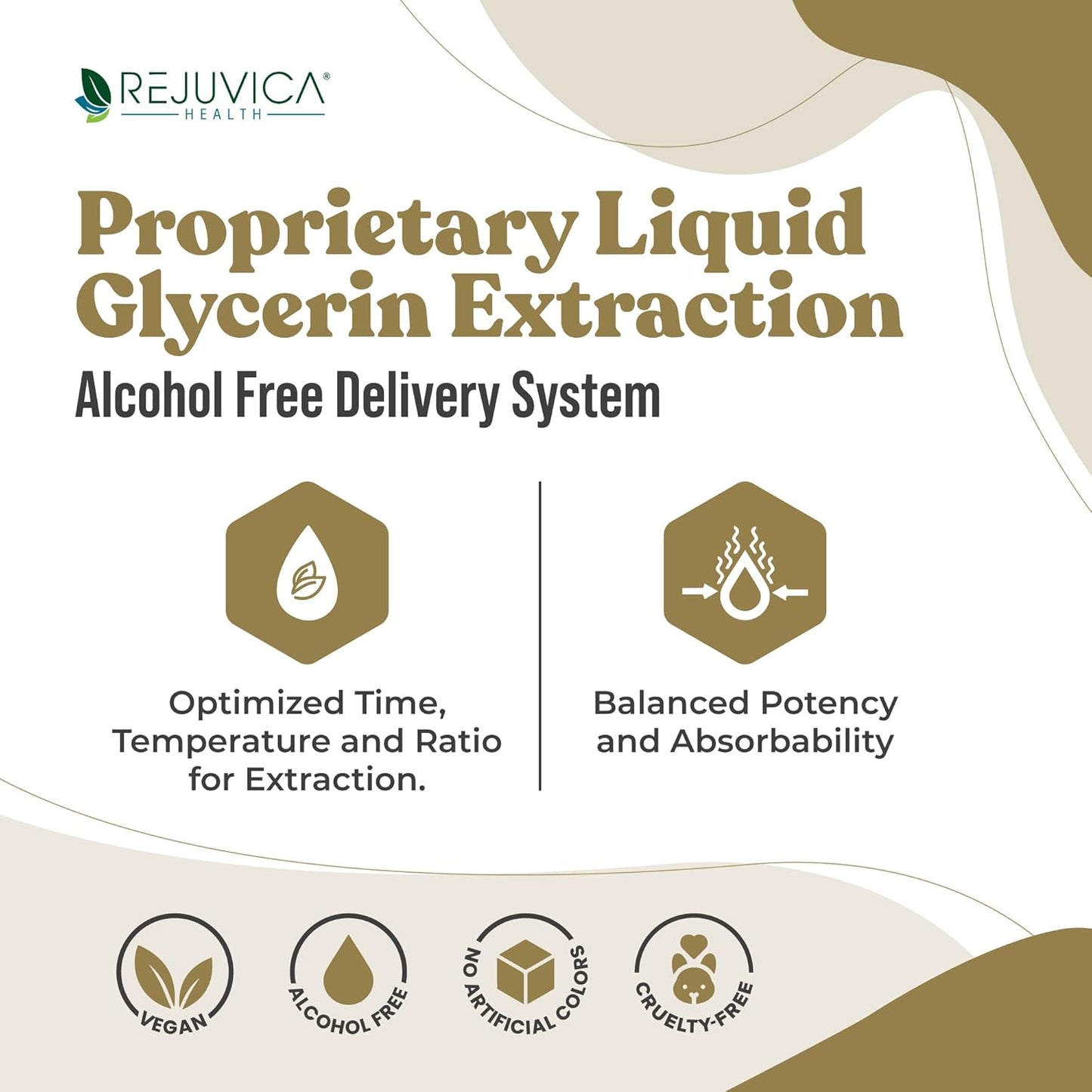 Advanced Liquid Maca Root Extract with Peruvian Ginseng for Enhanced Energy & Vitality - High Absorption Formula by Rejuvica Health