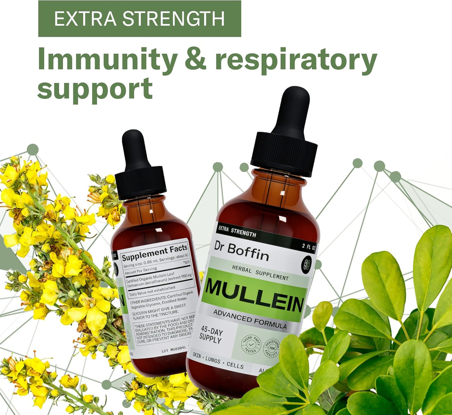 Advanced Mullein Leaf Liquid Extract - 2 FL OZ | Extra Strength Lung Cleanse & Detox Supplement - Respiratory Health & Immune Support