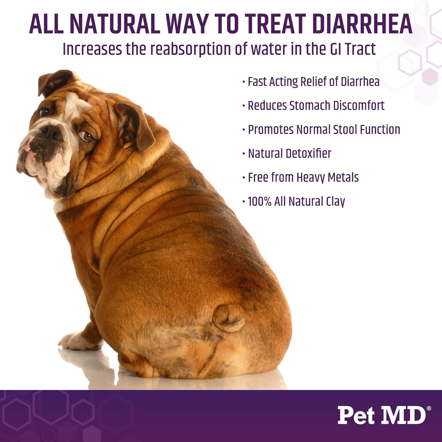 Advanced Multivitamin & Digestive Support for Dogs - Pet MD Canine Tabs