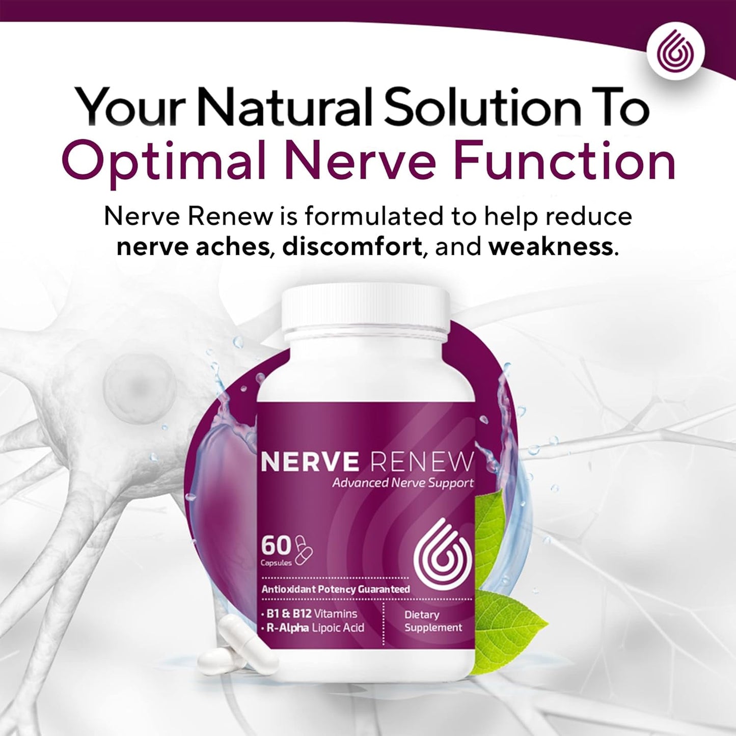 Advanced Nerve Support Supplement with 300mg R-Alpha Lipoic Acid, Vitamin B Complex, Benfotiamine, and Herbs - 60 ct