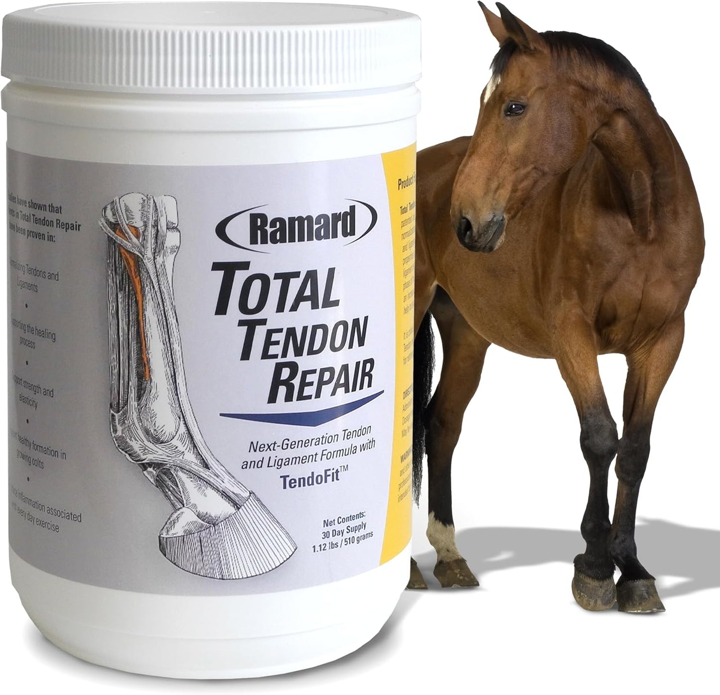 Advanced Powder Supplement for Horse Joint, Ligament, and Tendon Support - With Vitamin C, Collagen, and MSM - Enhances Elasticity and Strength - 30 Day Supply