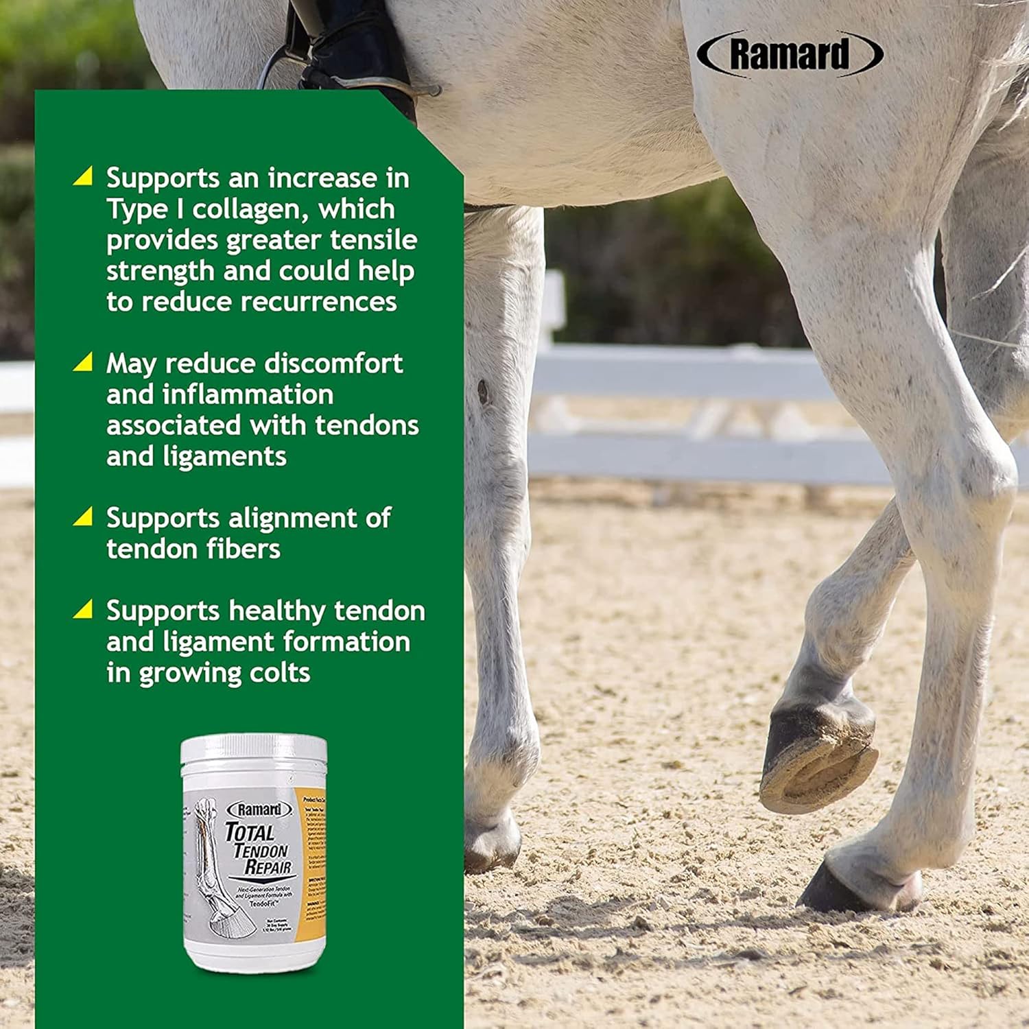 Advanced Powder Supplement for Horse Joint, Ligament, and Tendon Support - With Vitamin C, Collagen, and MSM - Enhances Elasticity and Strength - 30 Day Supply