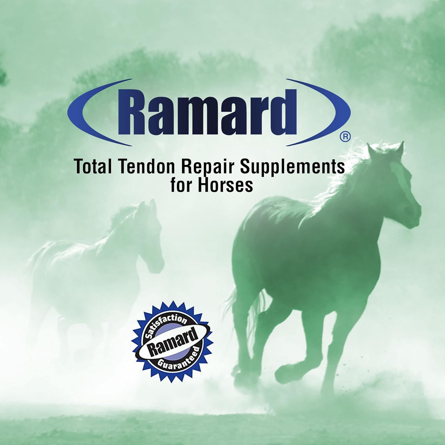 Advanced Powder Supplement for Horse Joint, Ligament, and Tendon Support - With Vitamin C, Collagen, and MSM - Enhances Elasticity and Strength - 30 Day Supply