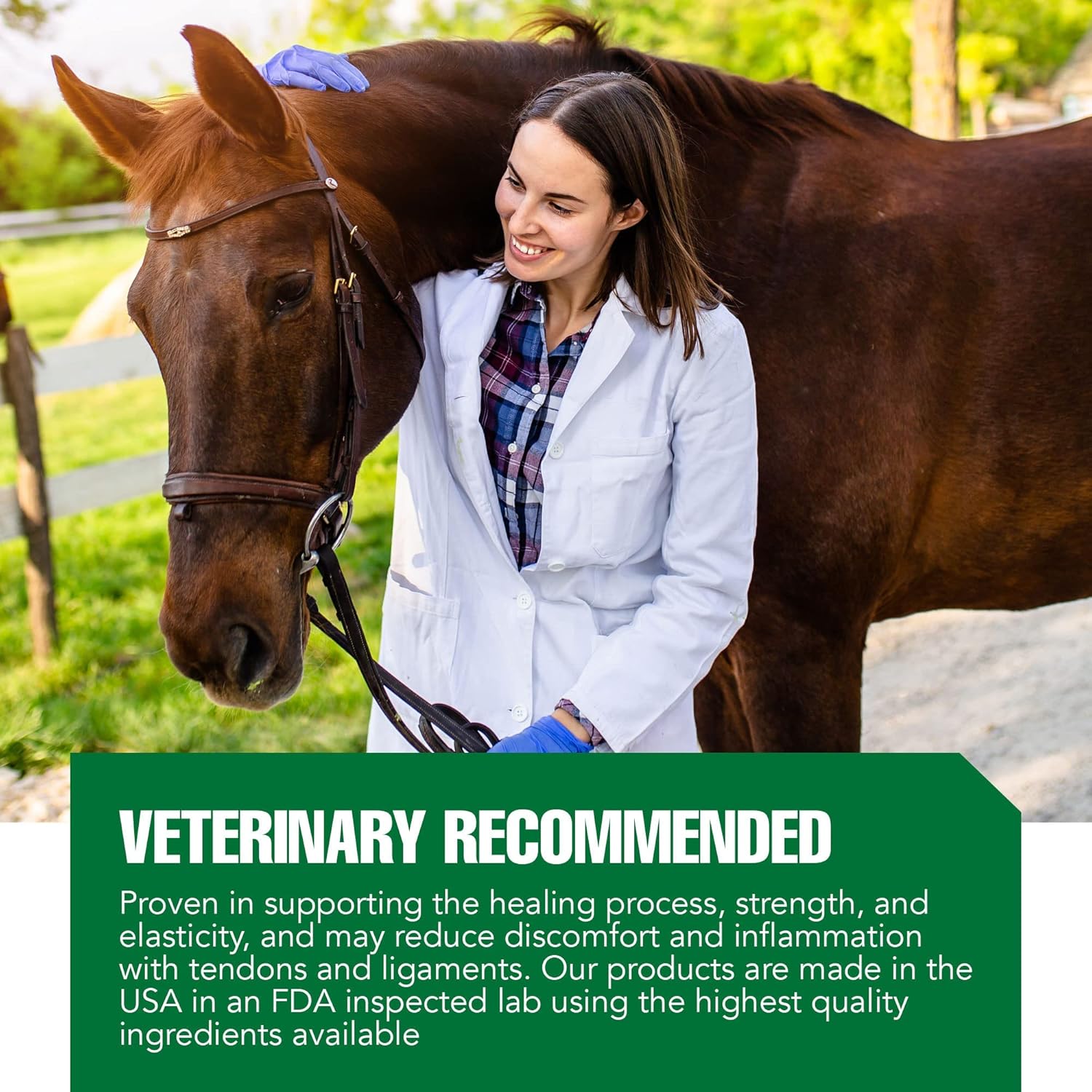 Advanced Powder Supplement for Horse Joint, Ligament, and Tendon Support - With Vitamin C, Collagen, and MSM - Enhances Elasticity and Strength - 30 Day Supply