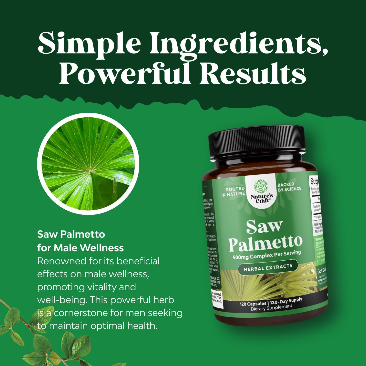 Advanced Saw Palmetto Extract for Hair Health & Urinary Support - Extra Strength Herbal Supplement for Men & Women - 120 Capsules with Plant Sterols & Flavonoids