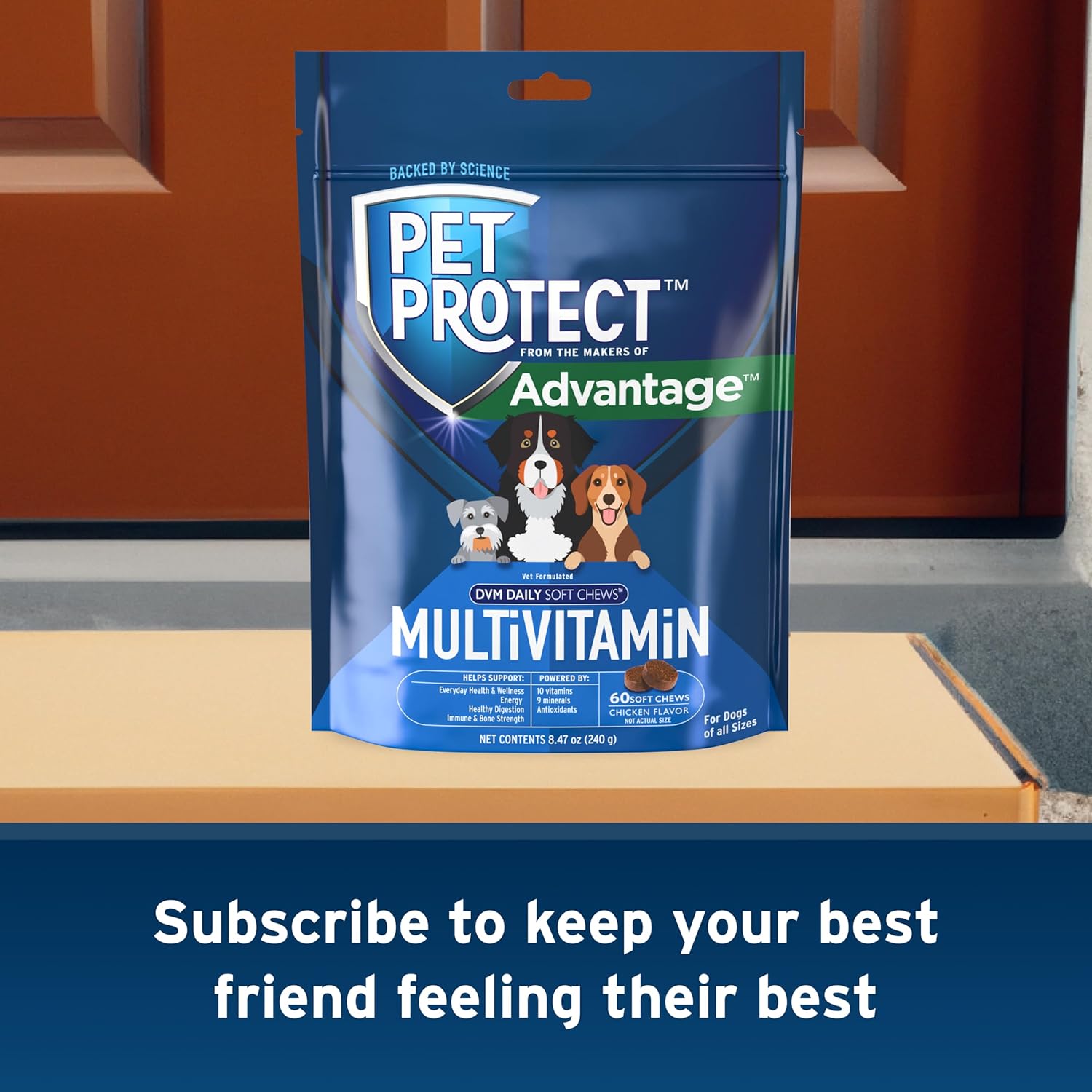 Advantage Pet Protect Daily Multivitamin Chews for Dogs - Vet-Formulated with 60 Vitamins