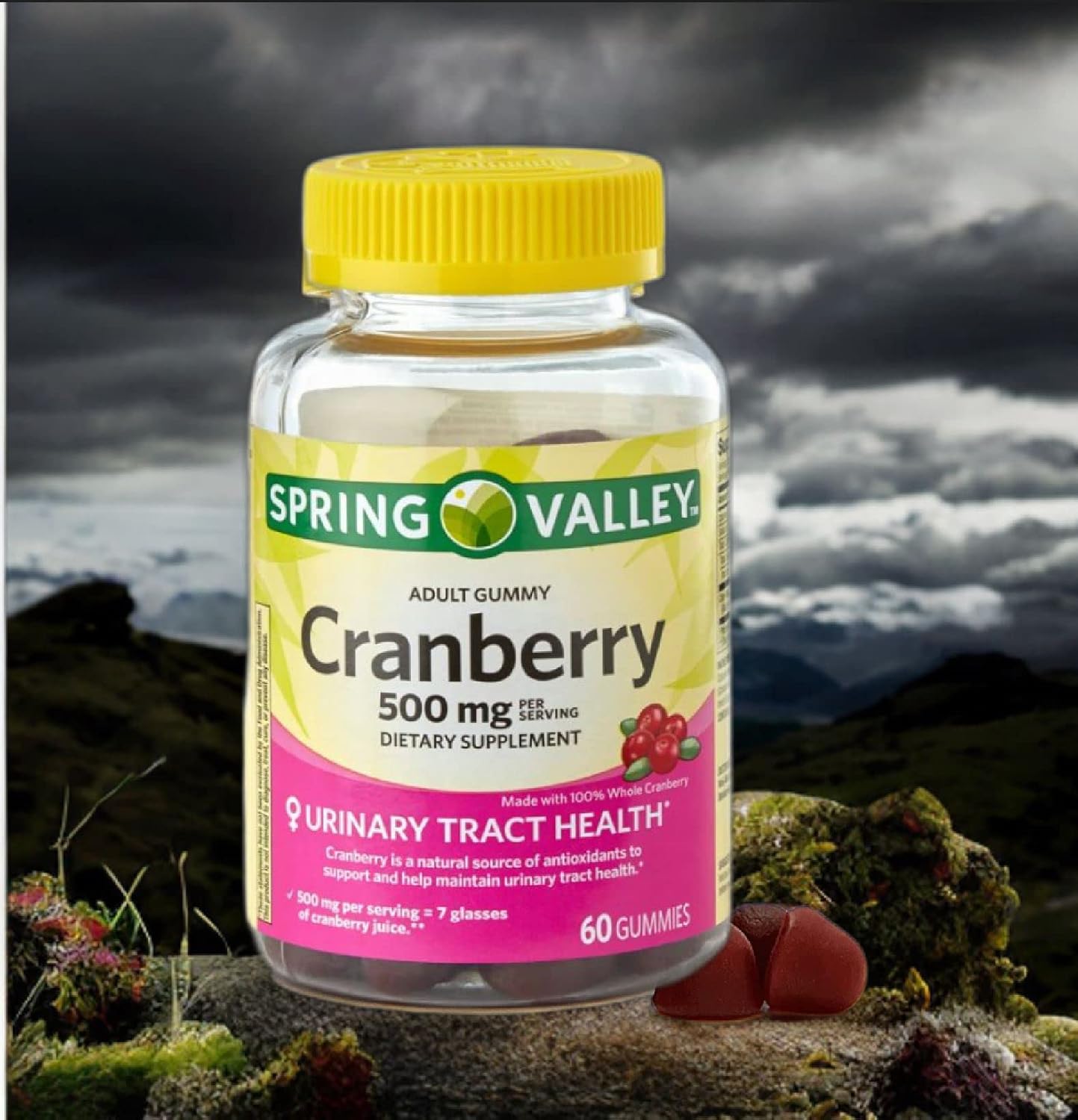 Adventure Home Spring Valley Cranberry Gummies 500mg, 60 Count - Better Vitamin Supplement Guide