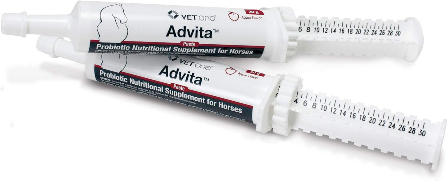 Advita™ Apple Flavored Probiotic Paste for Horses - 30g Tube | Enhance Digestion with Horse Probiotic Supplement