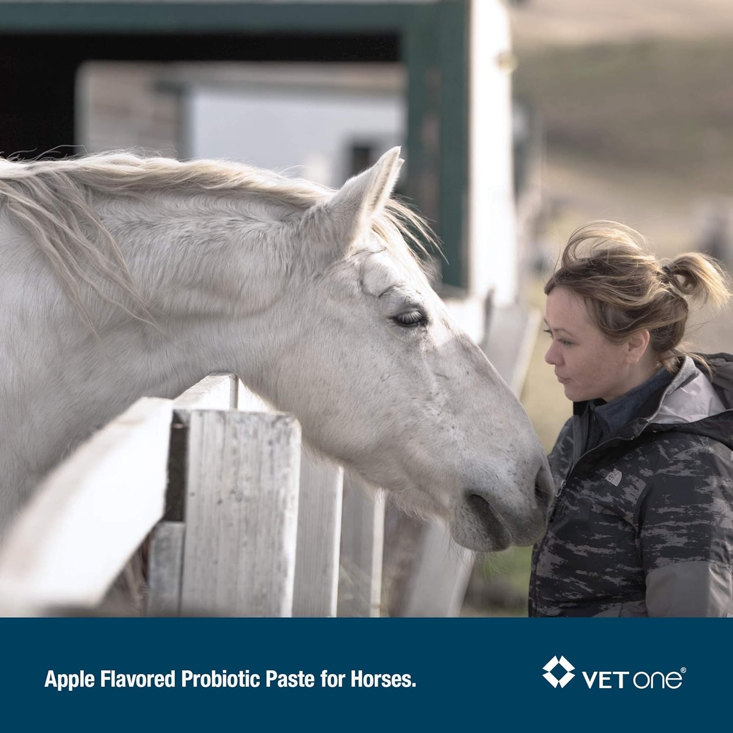 Advita™ Apple Flavored Probiotic Paste for Horses - 30g Tube | Enhance Digestion with Horse Probiotic Supplement