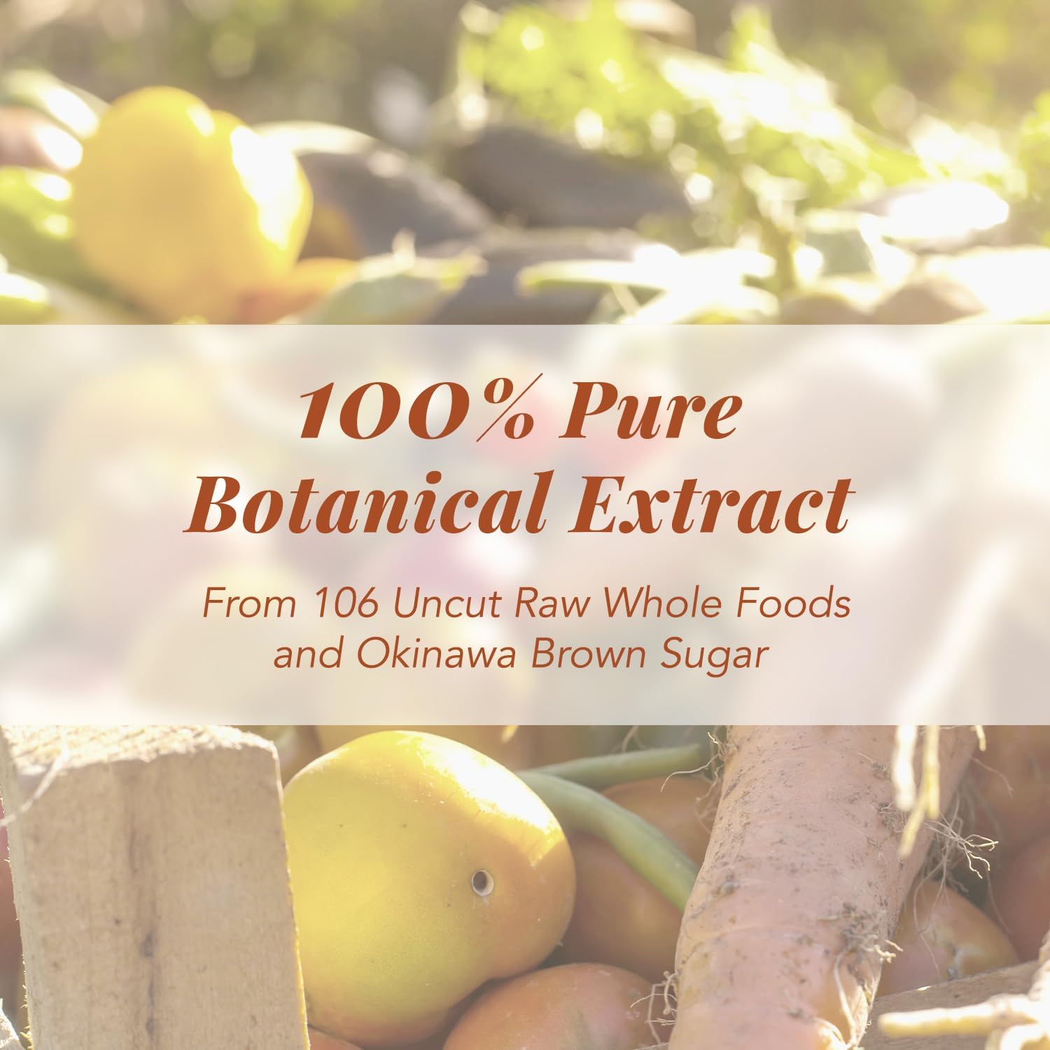 AFC Japan Ultimate Enzyme Drink - 100% Pure Extract of 106 Types of Vegetables & Fruits, Boost Metabolism, Immunity, Detox, Smooth Bowel, Relieve Gas, Bloating, Constipation - 720ml