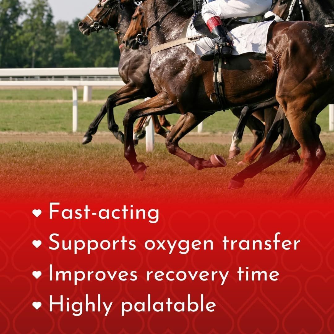 AiraCell Powder with Heme-Iron Polypeptide for Enhanced Oxygen Transfer, Antioxidants, and B Vitamins for Quick Recovery in Races and Speed Events