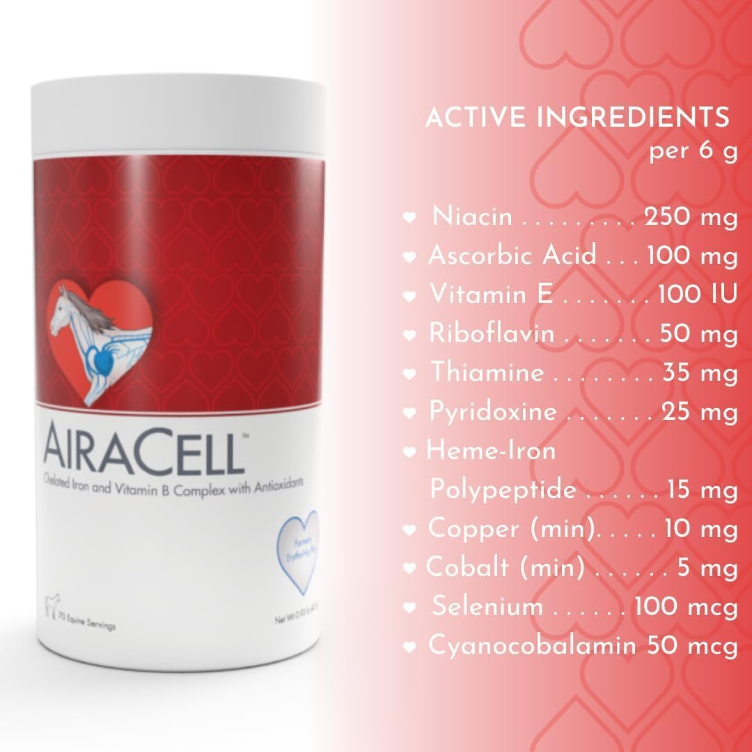AiraCell Powder with Heme-Iron Polypeptide for Enhanced Oxygen Transfer, Antioxidants, and B Vitamins for Quick Recovery in Races and Speed Events