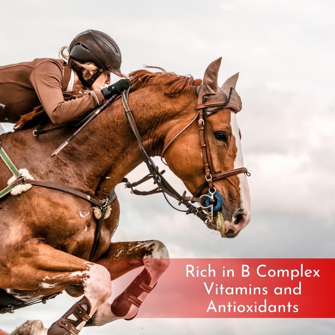 AiraCell Powder with Heme-Iron Polypeptide for Enhanced Oxygen Transfer, Antioxidants, and B Vitamins for Quick Recovery in Races and Speed Events