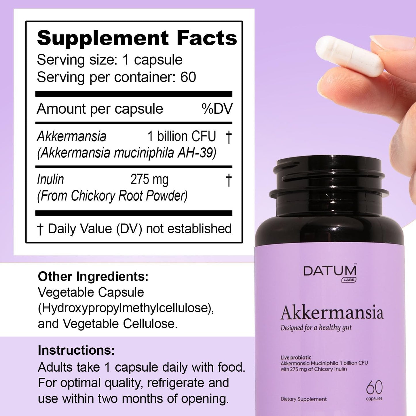 Akkermansia Muciniphila Probiotic + Prebiotic Supplement - Boosts GLP-1, Delayed Release, Third-Party Tested - 1Bn CFU (60 Capsules)