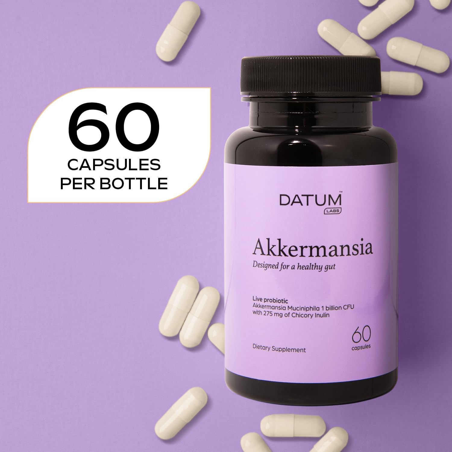 Akkermansia Muciniphila Probiotic + Prebiotic Supplement - Boosts GLP-1, Delayed Release, Third-Party Tested - 1Bn CFU (60 Capsules)