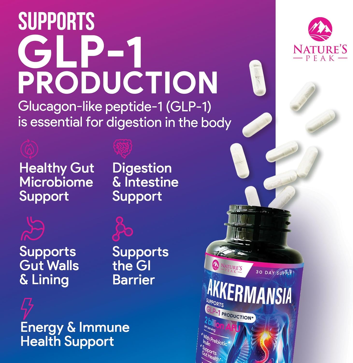Akkermansia Muciniphila Probiotic with Prebiotic Fiber for Digestive & Immune Health - 120 Capsules