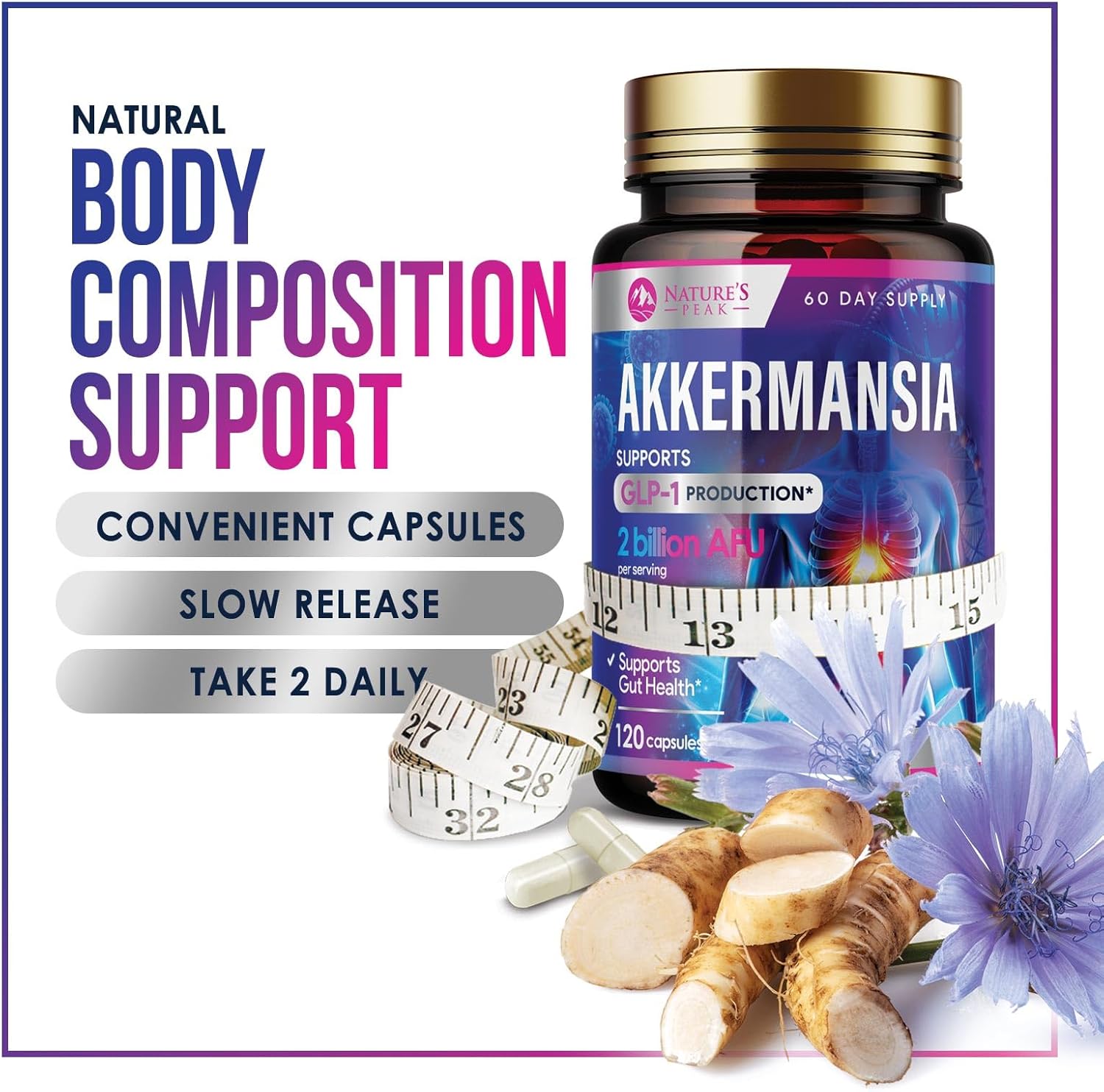 Akkermansia Muciniphila Probiotic with Prebiotic Fiber for Digestive & Immune Health - 120 Capsules