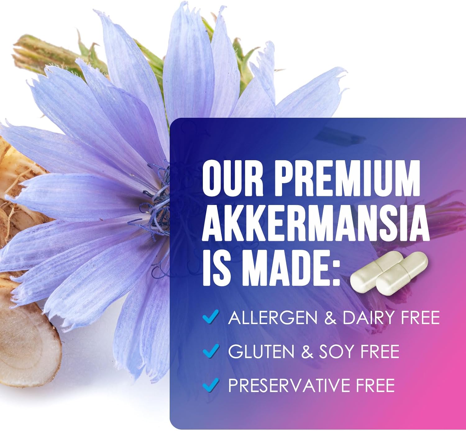 Akkermansia Muciniphila Probiotic with Prebiotic Fiber for Digestive & Immune Health - 120 Capsules