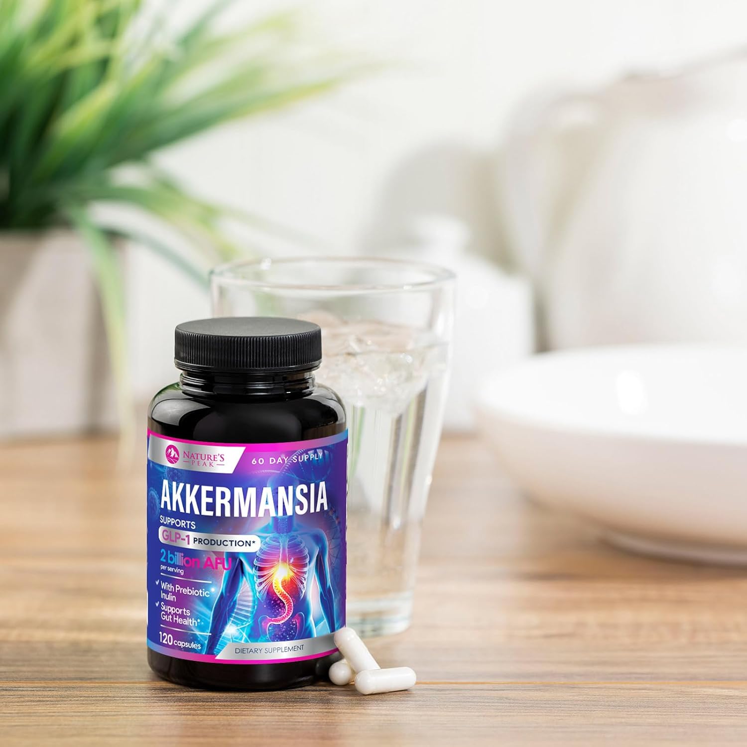 Akkermansia Muciniphila Probiotic with Prebiotic Fiber for Digestive & Immune Health - 120 Capsules