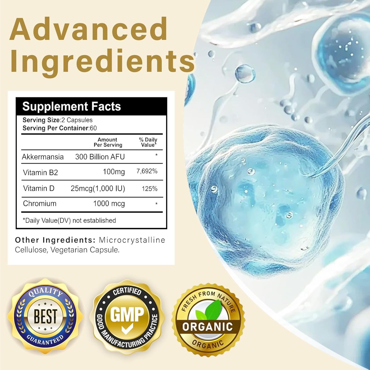 Akkermansia Prebiotic and Probiotic Supplement for Digestive and Immune Health - 300 Billion AFU Muciniphila Strain - 120 Capsules