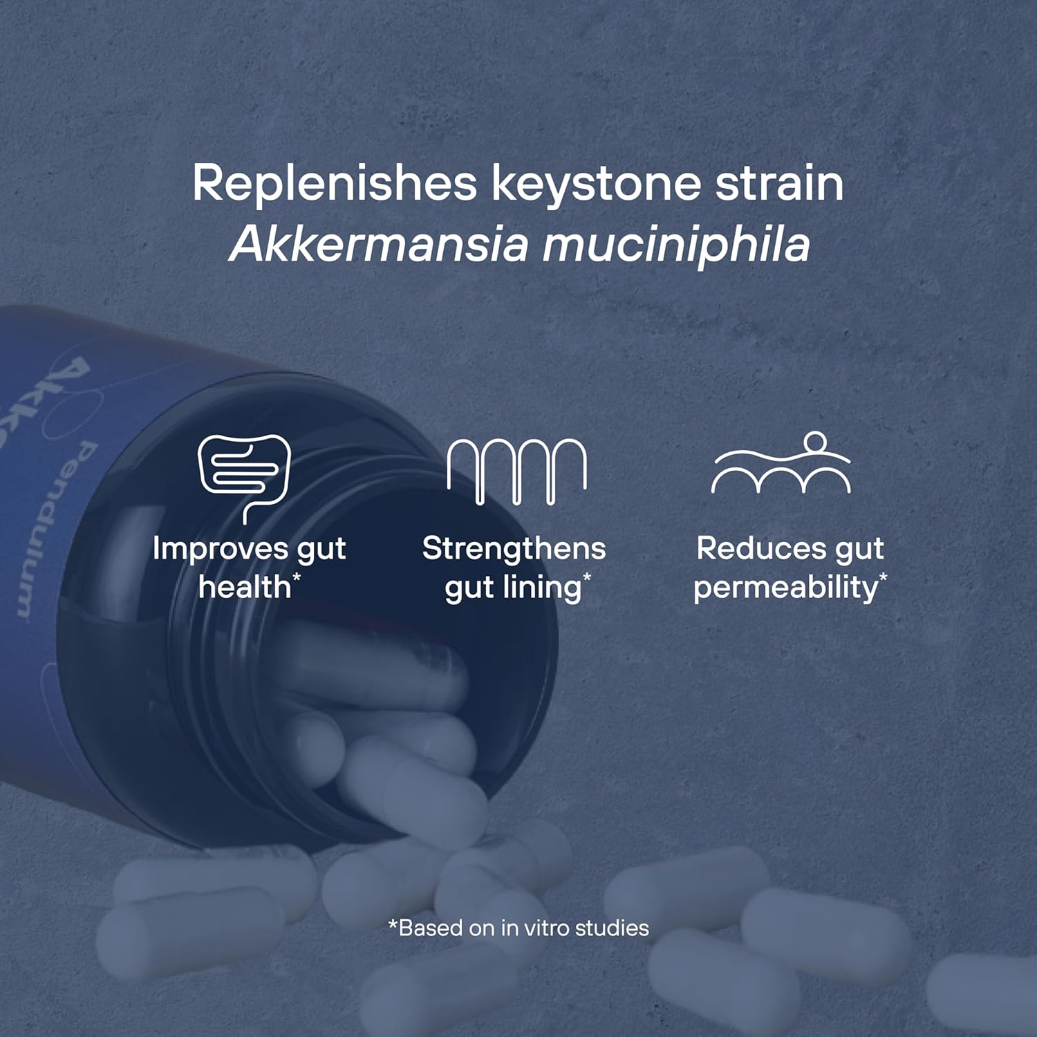 Akkermansia Probiotic Capsules with Prebiotic Fiber - Boosts GLP-1, Delayed Release, Third-Party Tested, 100M AFU Live Strain - Gut Health for Men & Women - 30 Capsules