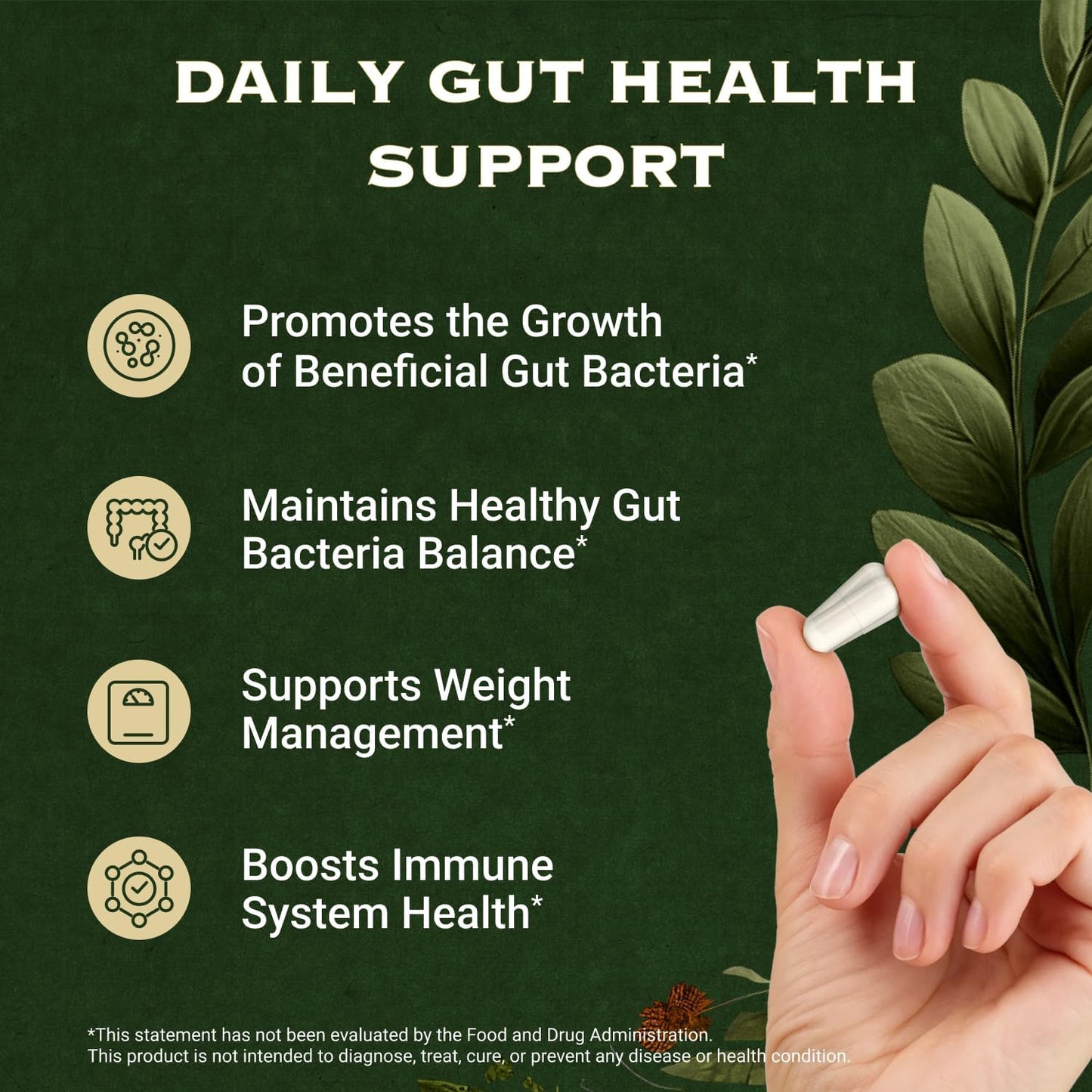 Akkermansia Probiotic Fiber Supplement - 10 Billion CFU GLP-1 Booster for Gut Health & Weight Management with Lactobacillus Salivarius, Betaine HCL, Haritaki, Inulin, and Tributyrin