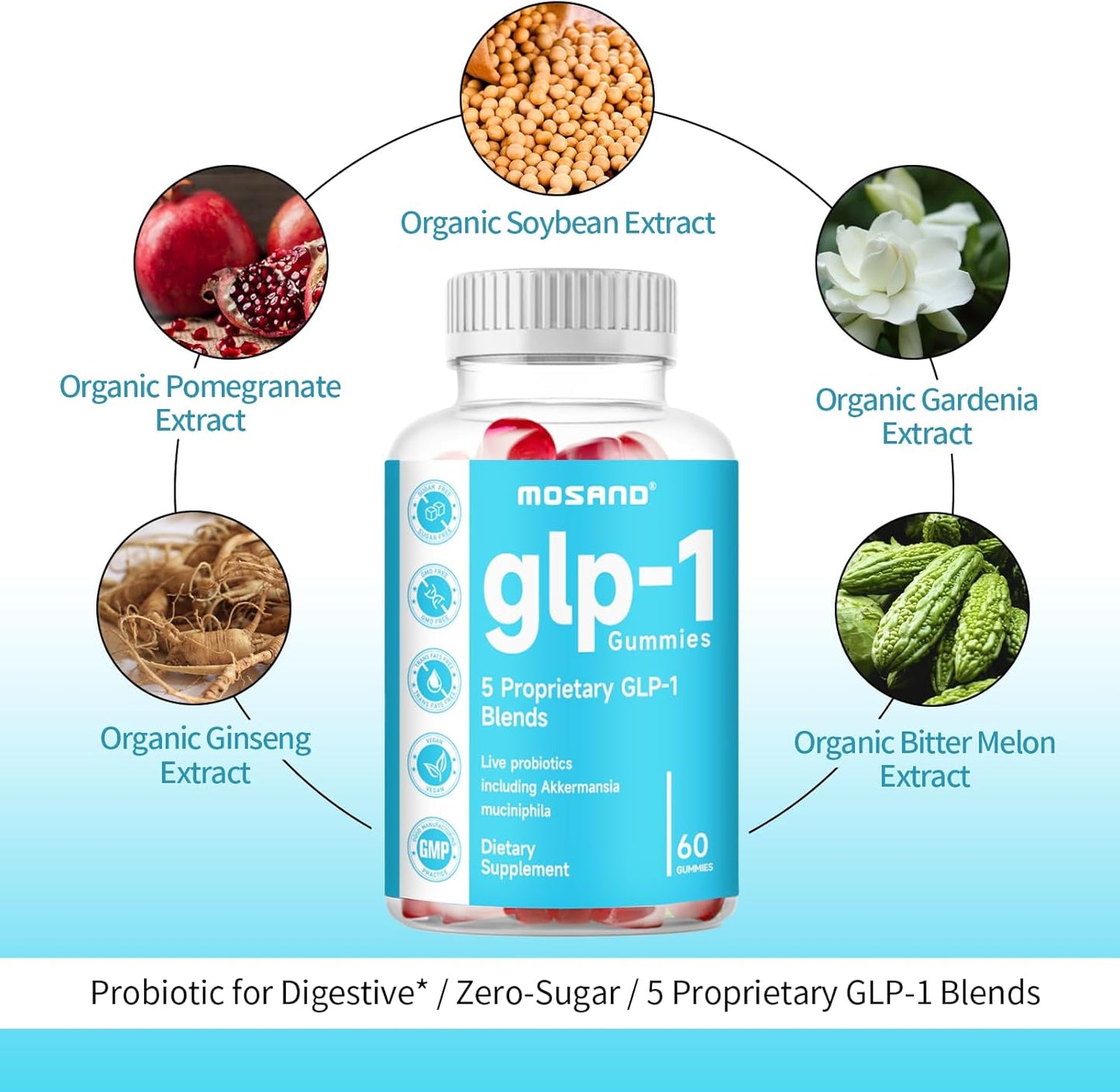 Akkermansia Probiotic Gummies with Berberine for Gut Health - 60 Strawberry Flavored Gummies, No Added Sugar