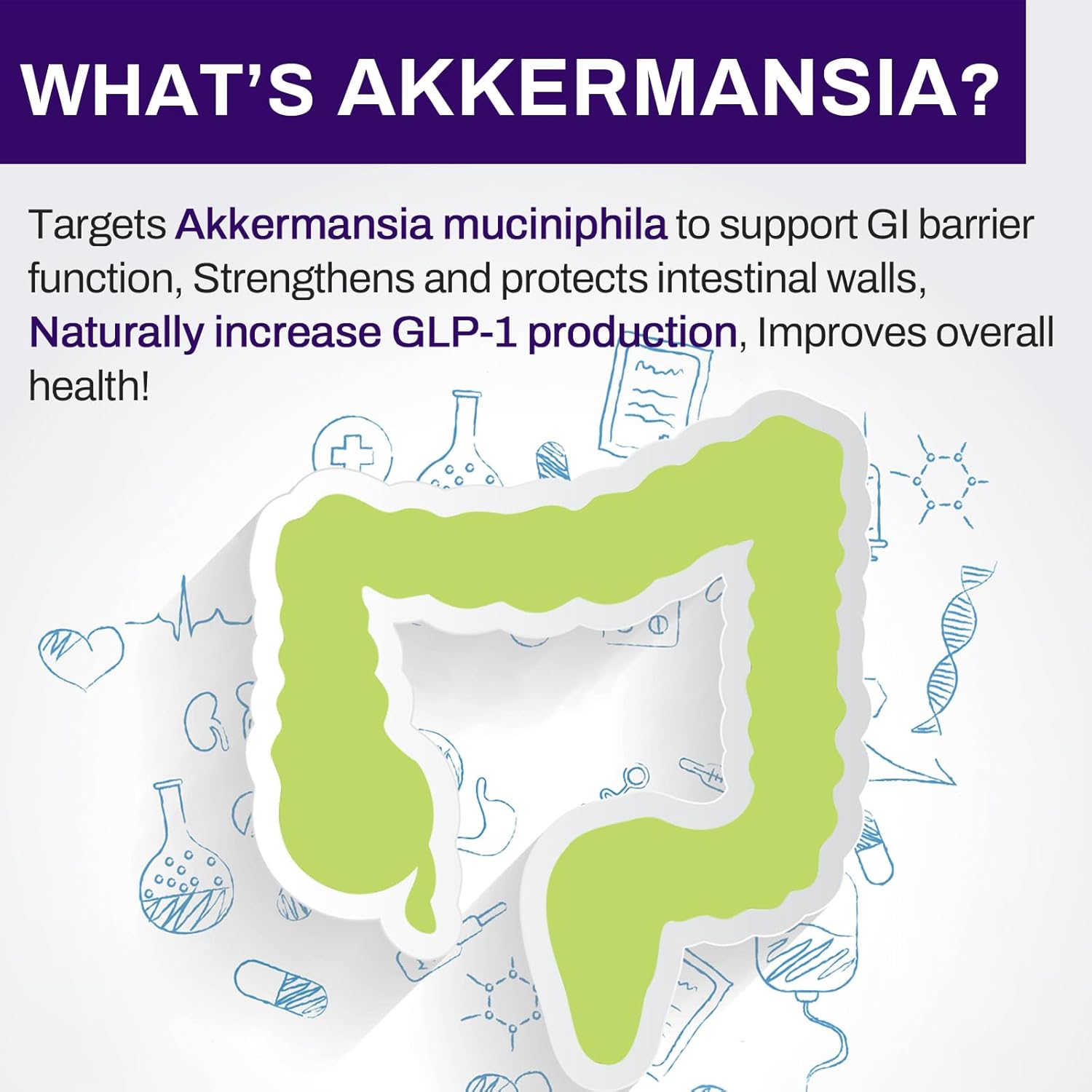 Akkermansia Probiotic Supplement for Digestive & Immune Health - 300 Billion AFU GLP-1 Production, Gut Lining Support - 60 Count
