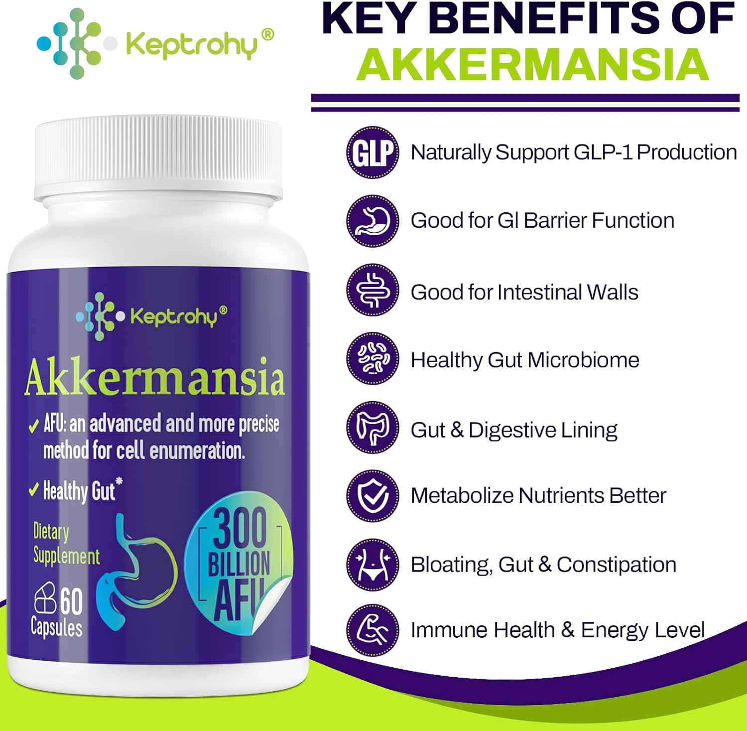 Akkermansia Probiotic Supplement for Digestive & Immune Health - 300 Billion AFU GLP-1 Production, Gut Lining Support - 60 Count