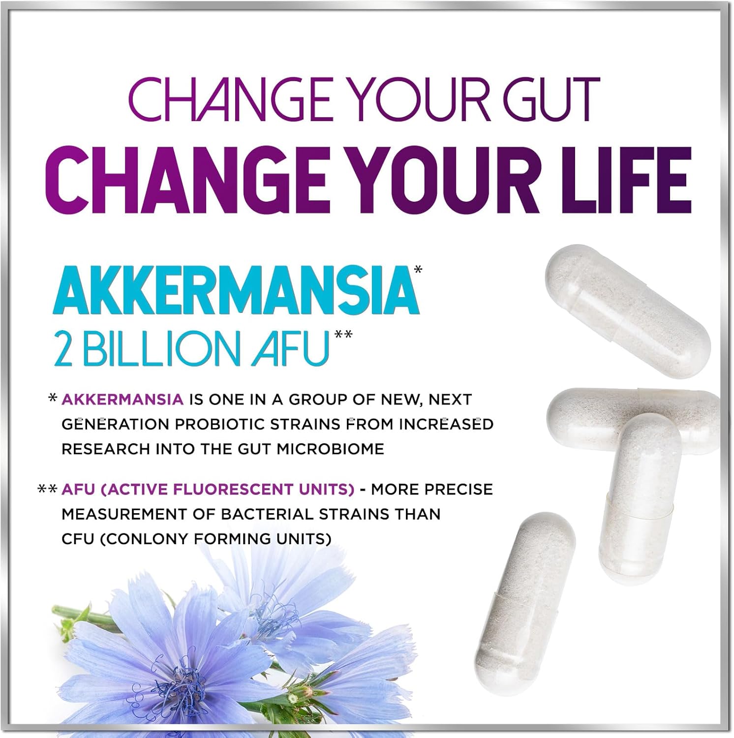 Akkermansia Probiotic Supplement with Inulin Fiber - 2 Billion AFU, GLP-1 & Digestive Health Support - 120 Capsules