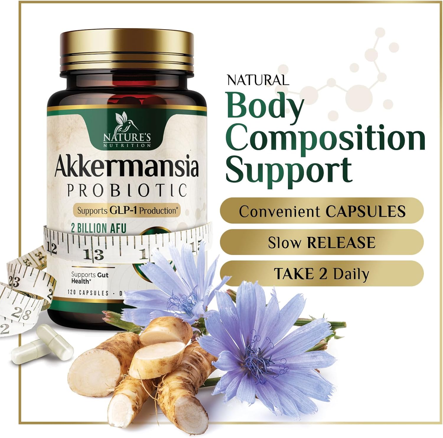 Akkermansia Probiotic Supplement with Prebiotic Fiber for Digestive Health - 120 Capsules